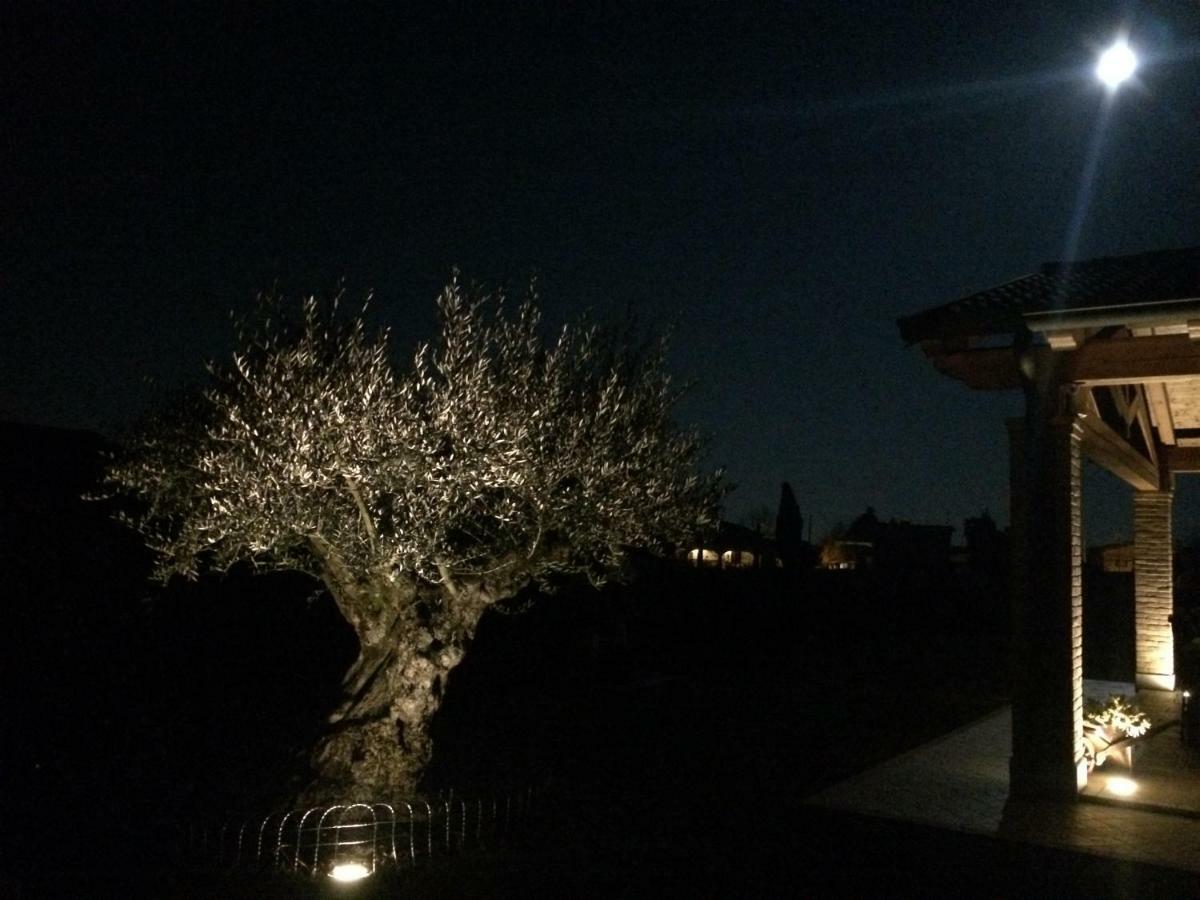 Villarosa Santa Lucia di Piave エクステリア 写真